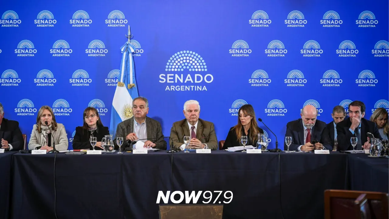 "En zonas cálidas sí está planteado el subsidio a familias con ingresos por menos de 4,8 millones de pesos". - Flavia Royón, senadora nacional por Salta, sobre el debate en el Senado por zonas frías y las reformas del Banco Central