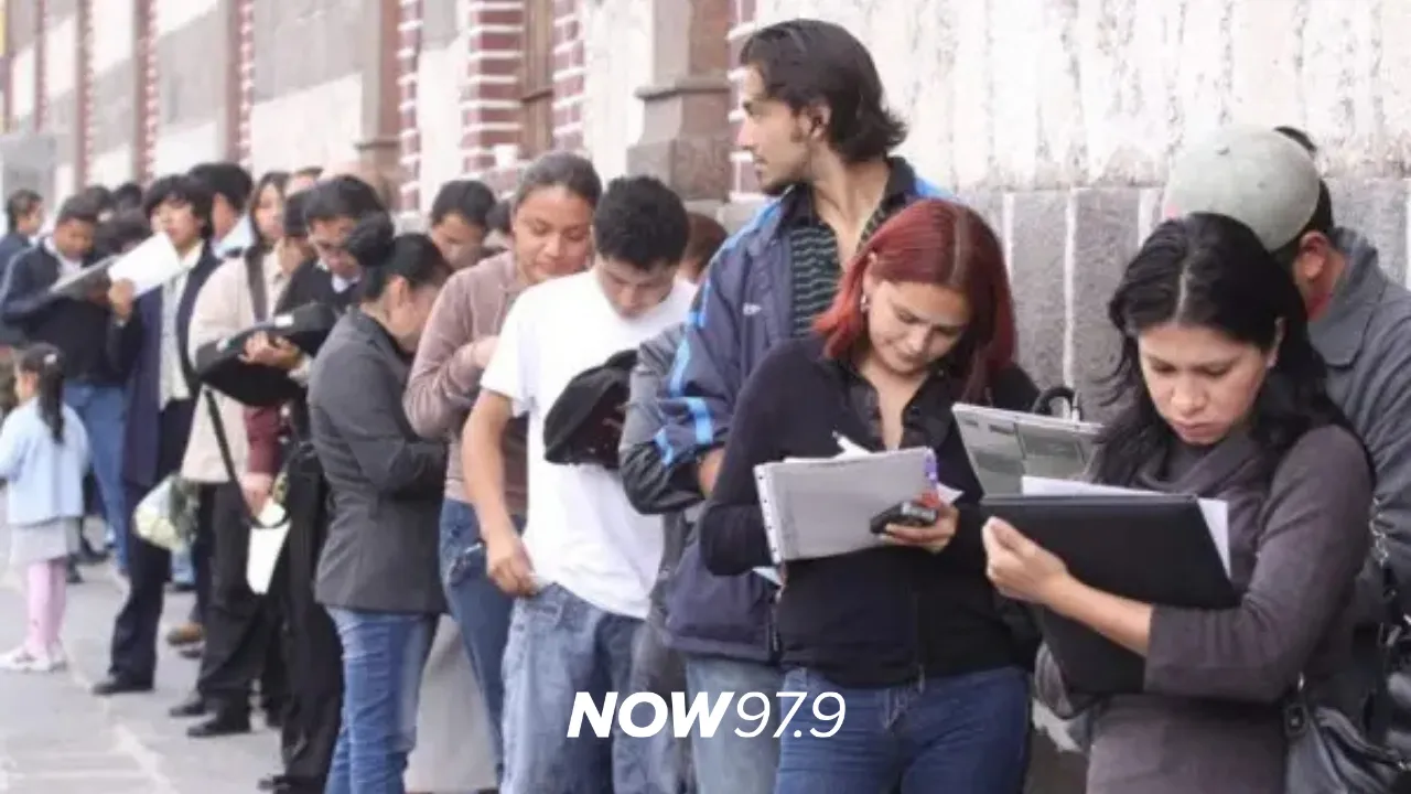 "Se perdieron 340.000 puestos de trabajo formal desde noviembre de 2023: industria y comercio lideran la caída" - Roxana Maurizio, investigadora, sobre el informe de empleo formal