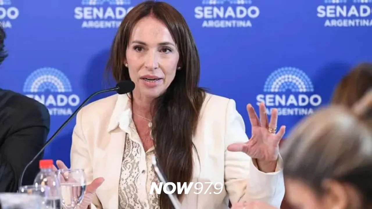 Caso Michelli: el PRO se planta y defiende el pliego de la jueza cuestionada. - Martín Goerling, senador nacional por Misiones y jefe del bloque del PRO, sobre el pedido del gobierno de retirar el pliego de la cuñada de Hugo El Cóndor.