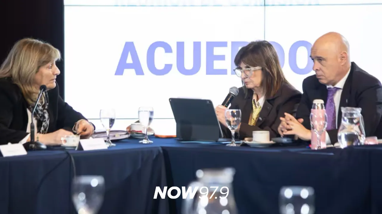 "Yo sigo pensando que hubo un exceso en su función": Susana Pernas sobre los cuestionamientos de Patricia Bullrich a su pliego de continuidad en el cargo y su intervención en el caso Chocobar.