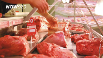 Copia de PORTADAS WEB 1 1