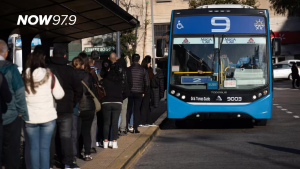 Copia de PORTADAS WEB 12